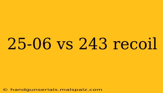 25-06 vs 243 recoil