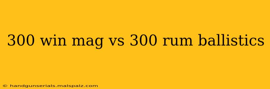 300 win mag vs 300 rum ballistics