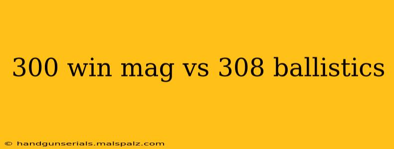 300 win mag vs 308 ballistics