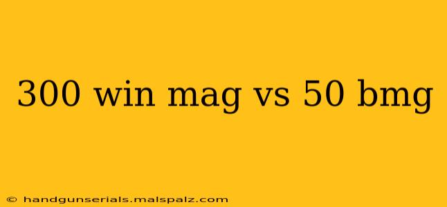 300 win mag vs 50 bmg