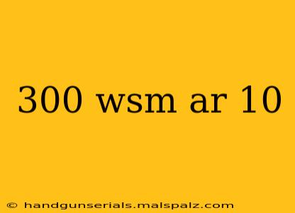 300 wsm ar 10