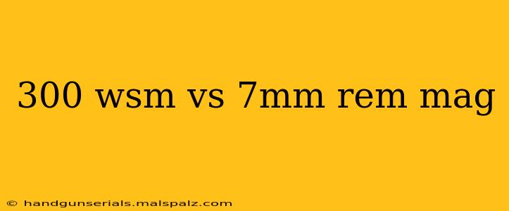 300 wsm vs 7mm rem mag