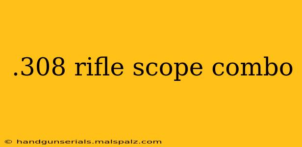 .308 rifle scope combo