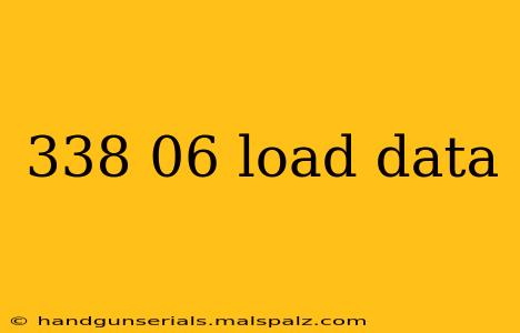 338 06 load data