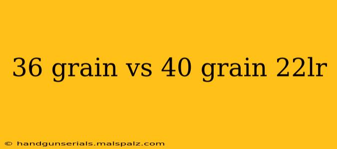 36 grain vs 40 grain 22lr