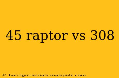 45 raptor vs 308