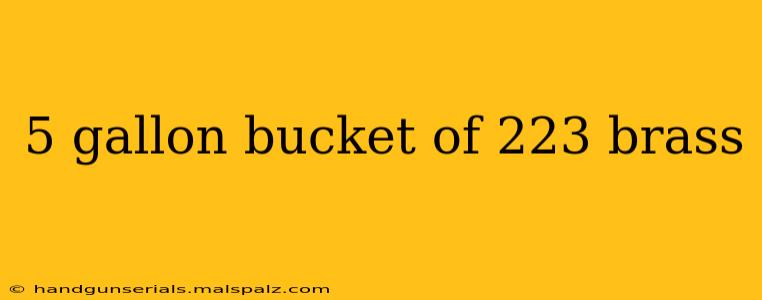 5 gallon bucket of 223 brass