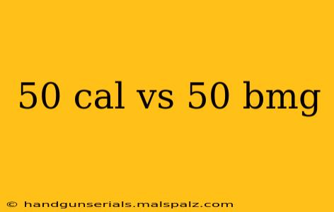 50 cal vs 50 bmg