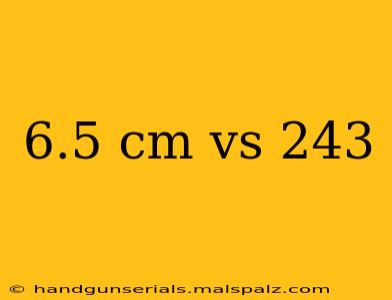 6.5 cm vs 243