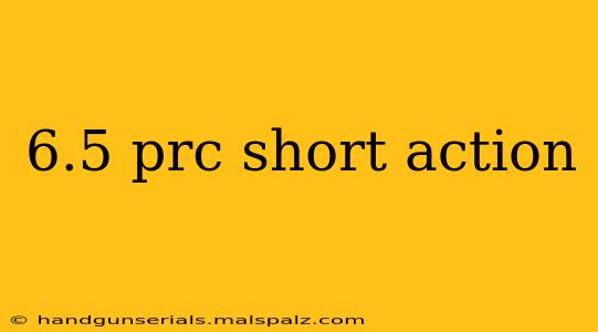 6.5 prc short action