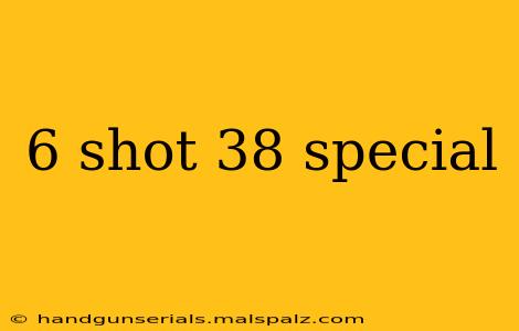 6 shot 38 special