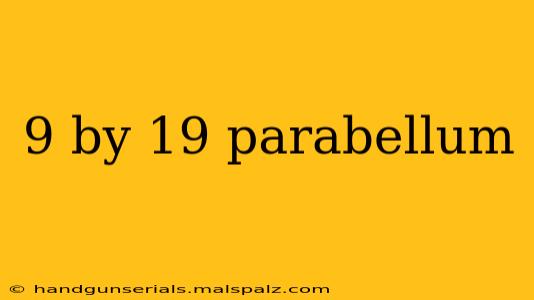 9 by 19 parabellum