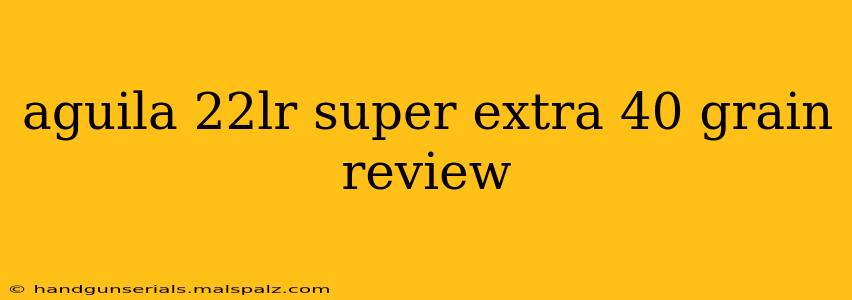 aguila 22lr super extra 40 grain review