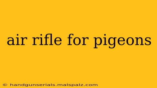 air rifle for pigeons