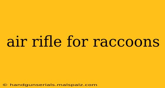 air rifle for raccoons