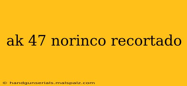 ak 47 norinco recortado