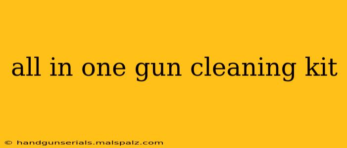 all in one gun cleaning kit