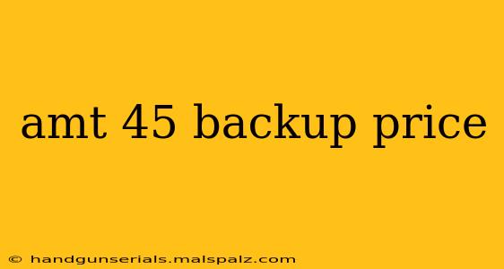 amt 45 backup price