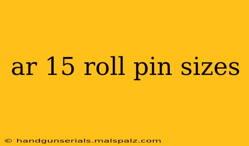 ar 15 roll pin sizes