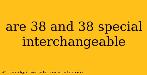 are 38 and 38 special interchangeable