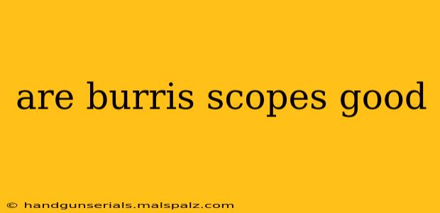 are burris scopes good