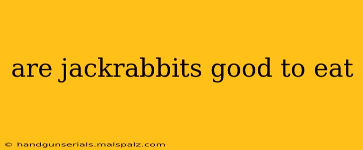 are jackrabbits good to eat