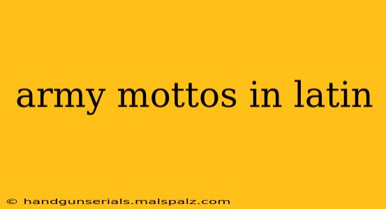 army mottos in latin