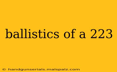 ballistics of a 223