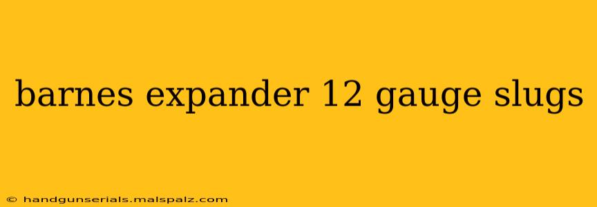 barnes expander 12 gauge slugs