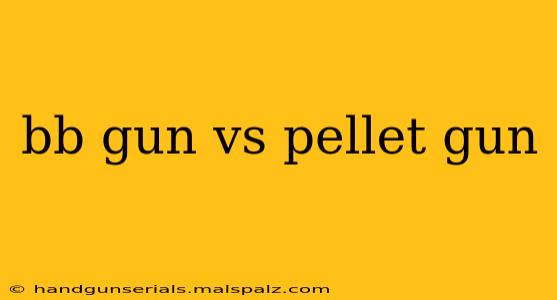 bb gun vs pellet gun