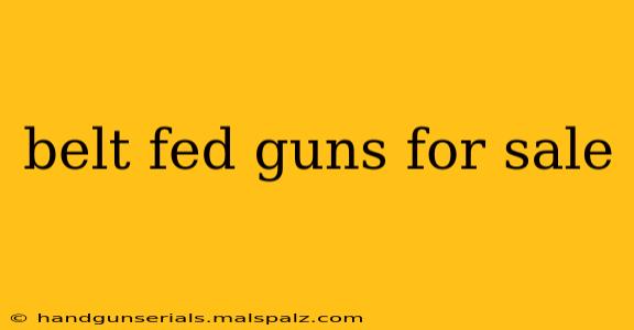 belt fed guns for sale