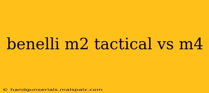 benelli m2 tactical vs m4