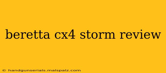 beretta cx4 storm review