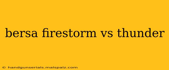 bersa firestorm vs thunder