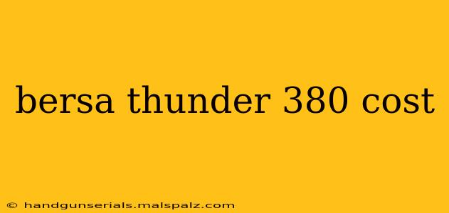 bersa thunder 380 cost