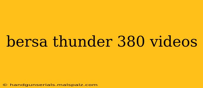 bersa thunder 380 videos