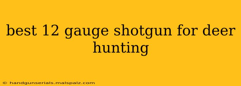 best 12 gauge shotgun for deer hunting