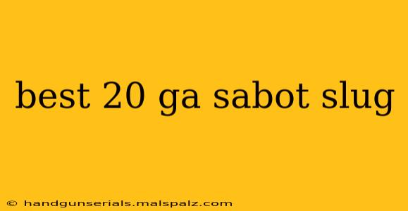 best 20 ga sabot slug