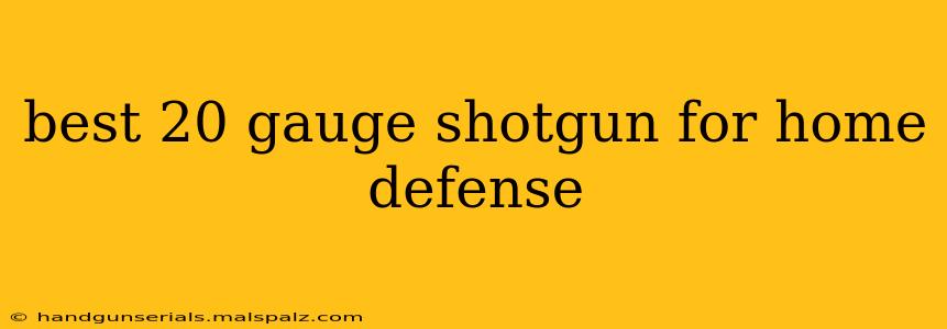 best 20 gauge shotgun for home defense