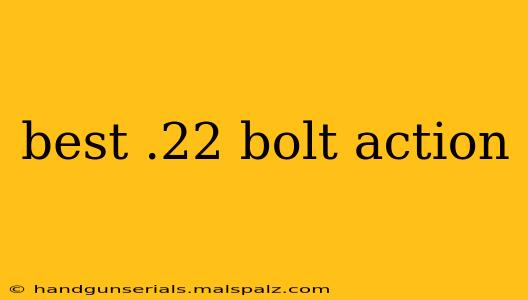 best .22 bolt action