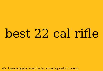 best 22 cal rifle