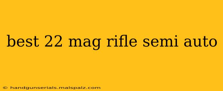 best 22 mag rifle semi auto