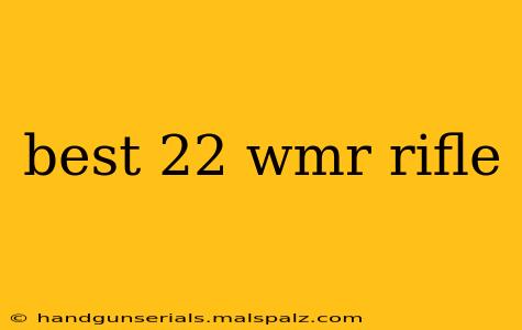 best 22 wmr rifle