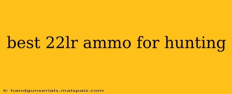 best 22lr ammo for hunting