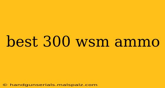 best 300 wsm ammo