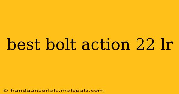 best bolt action 22 lr