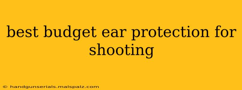 best budget ear protection for shooting