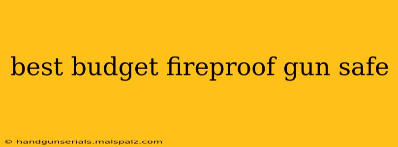 best budget fireproof gun safe