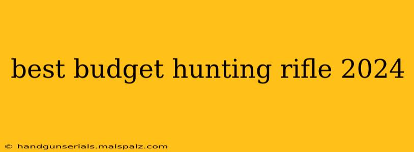 best budget hunting rifle 2024