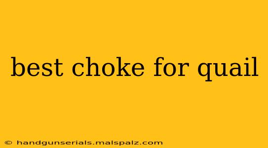 best choke for quail